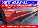 New 2025 Ford F-150 XLT SuperCrew Cab 4x4 Pickup for sale #25T749 - photo 8