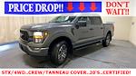 2023 Ford F-150 SuperCrew Cab 4x4 Pickup for sale #45198 - photo 41