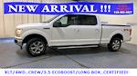2020 Ford F-150 SuperCrew Cab 4x4 Pickup for sale #75447 - photo 6