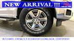 2020 Ford F-150 SuperCrew Cab 4x4 Pickup for sale #75447 - photo 9