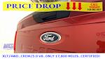 2021 Ford F-150 SuperCrew Cab 4x4 Pickup for sale #75448 - photo 19