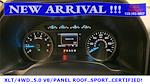 2020 Ford F-150 SuperCrew Cab 4x4 Pickup for sale #75470 - photo 36