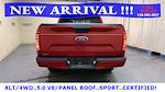 2020 Ford F-150 SuperCrew Cab 4x4 Pickup for sale #75470 - photo 4