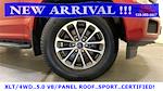 2020 Ford F-150 SuperCrew Cab 4x4 Pickup for sale #75470 - photo 9