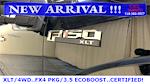 2018 Ford F-150 SuperCrew Cab 4x4 Pickup for sale #75471 - photo 10