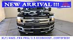 2018 Ford F-150 SuperCrew Cab 4x4 Pickup for sale #75471 - photo 8