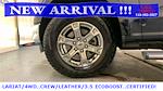2021 Ford F-150 SuperCrew Cab 4x4 Pickup for sale #85644 - photo 47