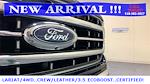 2021 Ford F-150 SuperCrew Cab 4x4 Pickup for sale #85644 - photo 50