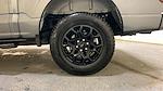 2025 Ford F-150 SuperCrew Cab 4WD Pickup for sale #P26298 - photo 22