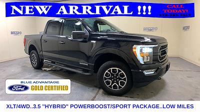 Used 2023 Ford F-150 - photo 1
