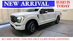 2023 Ford F-150 SuperCrew Cab 4x4 Pickup for sale #P55273 - photo 7
