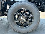 New 2025 Ford F-350 Regular Cab 4WD SRW Pickup for sale #1994 - photo 34