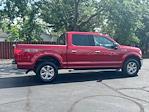 2019 Ford F-150 SuperCrew Cab 4WD Pickup for sale #27502A - photo 13
