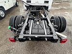 2024 Ford F-450 Super Cab DRW 4WD Cab Chassis for sale #27896 - photo 6
