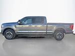 2023 Ford F-150 SuperCrew Cab 4WD Pickup for sale #A68124T01 - photo 13