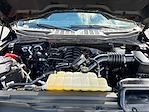 2024 Ford F-150 SuperCrew Cab 4WD Pickup for sale #A87803C01 - photo 17