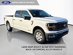 2025 Ford F-150 SuperCrew Cab 4WD Pickup for sale #B29368F01 - photo 1