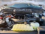 2025 Ford F-150 SuperCrew Cab 4WD Pickup for sale #B29368F01 - photo 13