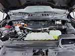 Used 2023 Ford F-150 XLT SuperCrew Cab for sale #C74329CA1 - photo 16