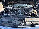 2023 Ford F-250 Crew Cab 4x4 Pickup for sale #D56331C01 - photo 16