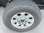 2023 Ford F-250 Regular Cab 4WD Pickup for sale #D59044T01 - photo 14