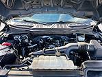 2023 Ford F-150 Super Cab 4WD Pickup for sale #D71130T01 - photo 13