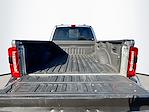 2024 Ford F-250 Crew Cab 4WD Pickup for sale #E24107T01 - photo 15