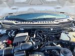 2024 Ford F-250 Crew Cab 4WD Pickup for sale #E24107T01 - photo 16