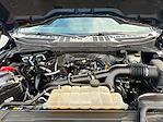 2022 Ford F-150 SuperCrew Cab 4WD Pickup for sale #E69395F01 - photo 15