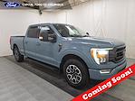 2023 Ford F-150 SuperCrew Cab 4WD Pickup for sale #E74296C01 - photo 1