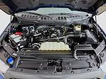 2023 Ford F-150 SuperCrew Cab 4WD Pickup for sale #F22273C01 - photo 15