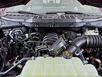 New 2025 Ford F-150 XLT SuperCrew Cab for sale #SFC63623 - photo 16