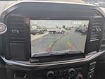 New 2025 Ford F-150 STX SuperCrew Cab 4WD Pickup for sale #SKE98480 - photo 38
