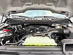 New 2025 Ford F-150 STX SuperCrew Cab 4WD Pickup for sale #SKF13883 - photo 13