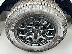 New 2025 Ford F-150 STX SuperCrew Cab 4WD Pickup for sale #SKF13883 - photo 14
