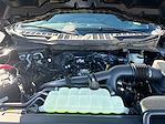 New 2025 Ford F-150 STX SuperCrew Cab 4WD Pickup for sale #SKF16110 - photo 13