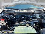 New 2025 Ford F-150 STX SuperCrew Cab 4WD Pickup for sale #SKF27854 - photo 13