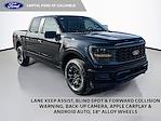 2025 Ford F-150 SuperCrew Cab 4WD Pickup for sale #SKF43095 - photo 1