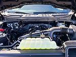 2025 Ford F-150 SuperCrew Cab 4WD Pickup for sale #SKF43095 - photo 14