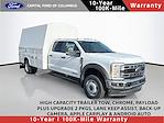 New 2026 Ford F-550 Crew Cab Cab Chassis for sale #TEC46205 - photo 1