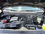 New 2026 Ford F-250 XL Crew Cab 4WD Pickup for sale #TEC56822 - photo 28