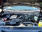 New 2026 Ford F-350 XL Super Cab 4WD SRW Pickup for sale #TEC65881 - photo 13