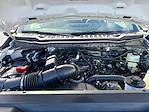 New 2026 Ford F-250 XL Regular Cab 4WD Pickup for sale #TEC66010 - photo 12