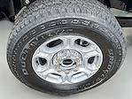 New 2026 Ford F-350 XLT Regular Cab 4WD SRW Pickup for sale #TEC82936 - photo 14