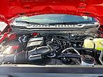 New 2026 Ford F-350 XLT Regular Cab 4WD SRW Pickup for sale #TEC83225 - photo 13