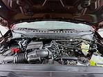New 2026 Ford F-250 XLT Crew Cab for sale #TEC85499 - photo 13