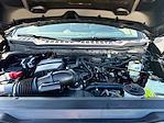 New 2026 Ford F-350 XLT Regular Cab 4WD SRW Pickup for sale #TEC86213 - photo 13
