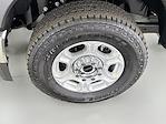 2026 Ford F-350 Regular Cab SRW 4WD Pickup for sale #TEC86900 - photo 13