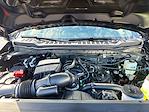 New 2026 Ford F-250 XLT Crew Cab for sale #TED06861 - photo 15