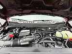 2026 Ford F-350 Crew Cab SRW 4WD Pickup for sale #TED12461 - photo 16